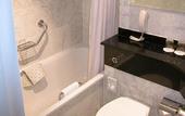 Туры в отель Ibis London Earls Court Hotel