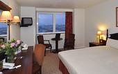 Туры в отель Ibis London Earls Court Hotel