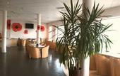 Туры в отель B&B HOTEL Maubeuge Gare