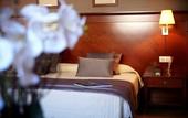 Туры в отель Hotel Nexta Escaldes