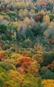 Туры в отель The Windsor Hotel Toya Resort & Spa Hokkaido