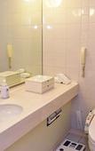 Туры в отель The Windsor Hotel Toya Resort & Spa Hokkaido