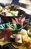 Туры в отель The Windsor Hotel Toya Resort & Spa Hokkaido