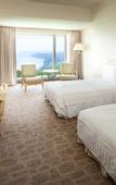 Туры в отель The Windsor Hotel Toya Resort & Spa Hokkaido