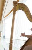 Туры в отель The Windsor Hotel Toya Resort & Spa Hokkaido