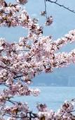 Туры в отель The Windsor Hotel Toya Resort & Spa Hokkaido