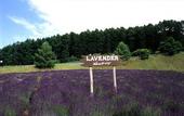 Туры в отель Hotel Naturwald Furano