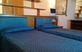 Туры в отель Pegasus Hotel