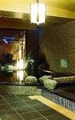 Туры в отель Dormy Inn Matsumoto Natural Hot Spring