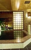 Туры в отель Dormy Inn Matsumoto Natural Hot Spring
