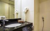 Туры в отель ibis Mall Avenue Dubai