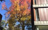 Туры в отель Casa sull'Albero