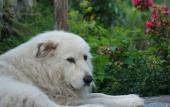 Туры в отель Agriturismo Al Marnich