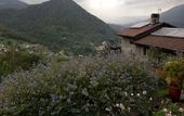Туры в отель Agriturismo Al Marnich