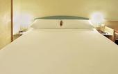 Туры в отель ibis Madrid Alcorcon Tresaguas