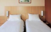 Туры в отель Hotel ibis Lyon Sud Vienne Saint Louis