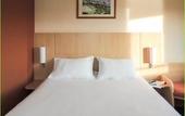 Туры в отель Hotel ibis Lyon Sud Vienne Saint Louis