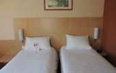 Туры в отель Hotel ibis Lyon Sud Vienne Saint Louis