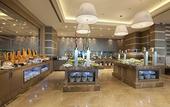 Туры в отель Dedeman Zonguldak