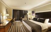 Туры в отель Dedeman Zonguldak