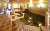 Туры в отель Dormy Inn Hiroshima Hot Spring