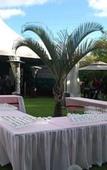 Туры в отель ibis Antananarivo Ankorondrano