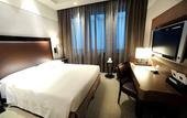 Туры в отель Hilton Turin Centre