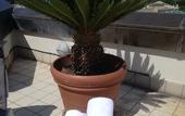 Туры в отель AC Hotel Genova by Marriott