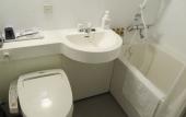 Туры в отель Dormy Inn Himeji Natural Hot Spring