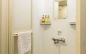 Туры в отель Dormy Inn Himeji Natural Hot Spring