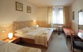Туры в отель Hotel Roudna