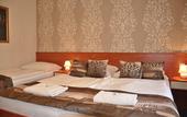 Туры в отель Hotel Roudna
