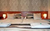 Туры в отель Hotel Roudna