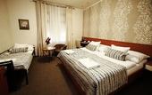 Туры в отель Hotel Roudna