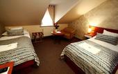 Туры в отель Hotel Roudna