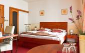 Туры в отель Hotel Roudna