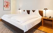 Туры в отель Hotel Baslertor