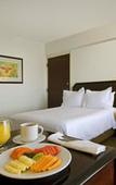 Туры в отель Fiesta Inn Express Chihuahua