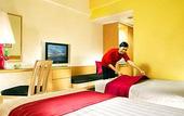 Туры в отель Ibis Tamarin
