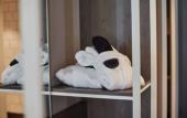 Туры в отель Carlton President