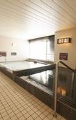 Туры в отель Dormy Inn Nagasaki Shinchi Chinatown Hot Spring