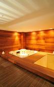 Туры в отель Emporio Veracruz Hotel