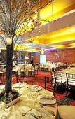 Туры в отель Emporio Veracruz Hotel