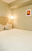 Туры в отель Daiwa Roynet Hotel Gifu