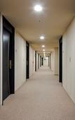 Туры в отель Daiwa Roynet Hotel Gifu