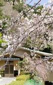 Туры в отель Takimotokan Yukinosato