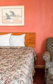 Туры в отель Econo Lodge Madison Airport