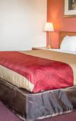 Туры в отель Econo Lodge Madison Airport
