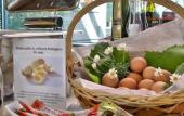 Туры в отель Best Western Falck Village Hotel