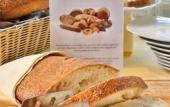 Туры в отель Best Western Falck Village Hotel